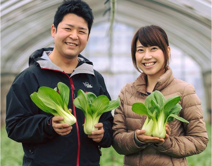 千葉県柏市の結婚相談所