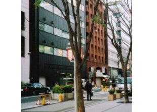 東京都八王子市の結婚相談所｜ブライダルオアシス写真