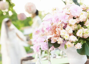 京都府の結婚相談所｜天照（アマテラス）写真