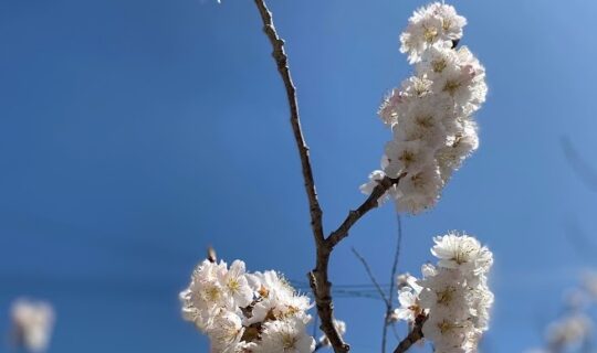 THE RULES♡今の時代は通用しない？