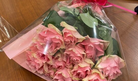 ３２才保育士★入会決心からプロポーズまで１０カ月の感想
