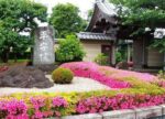 東京都立川市の結婚相談所｜結婚相談所マリアージュ平安写真
