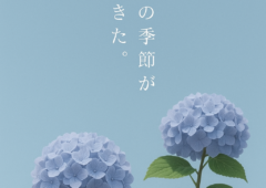 女性限定❣️「1年以内のご成婚チャレンジキャンペーン』の受付開始しました✨