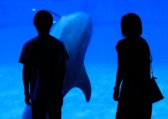 真剣交際中のカップル必見！真夏のデートにおすすめの涼しいスポット＆暑さ対策