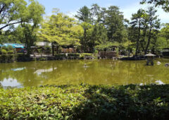２度目のデートは公園散歩