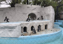 上野動物園デート